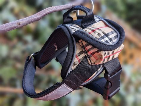 dog burberry collar|Burberry dog harness and leash.